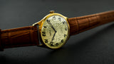 Vintage Chaika 1601A Soviet wristwatch 17 jewels