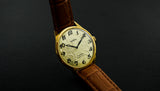 Vintage Chaika 1601A Soviet wristwatch 17 jewels